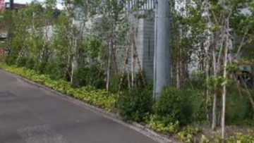 グラスガーデン