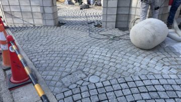 山採りの樹木を求めて